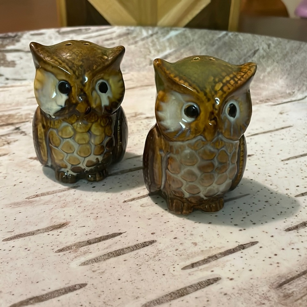 Vintage Ceramic Owl Salt and Pepper Shakers